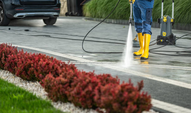 Best Vinyl Siding Pressure Washing in Malta, IL
